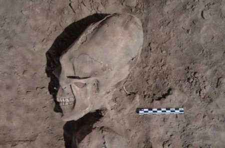В Мексике нашли черепа «иных» возрастом в тысячу лет
